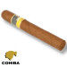 charuto cohiba siglo VI vitória espirito santo