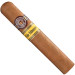 Charuto Montecristo wide edmundo vitória/ES