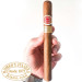 romeo y julieta churchill vitoria espirito santo
